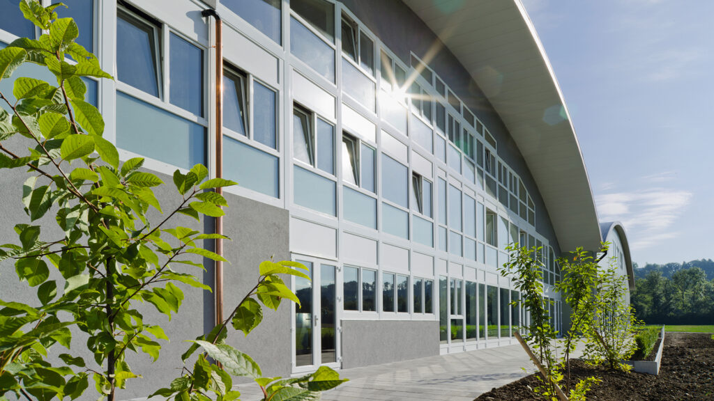 101569_nuessle_fenster_titel