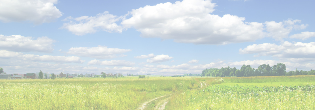 101690_titelbild-fischer