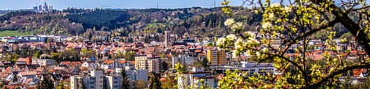 102340_balingen-ansicht-fruehling-01