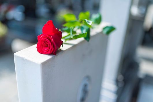 10301_strobel_grabarten-rose