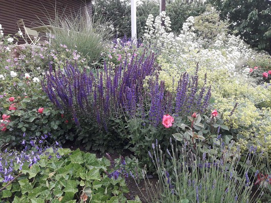 115057_sf_schmid_garten