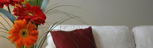 119019_vorschau_schlegel