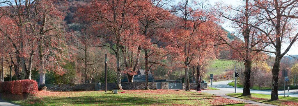 47406_47406_reutter_header