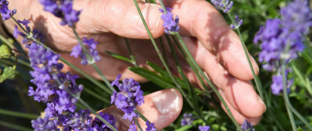 102398_diakoniestationteinach_titel