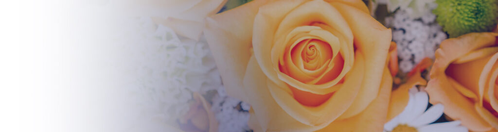 103080_holzhauser_titel