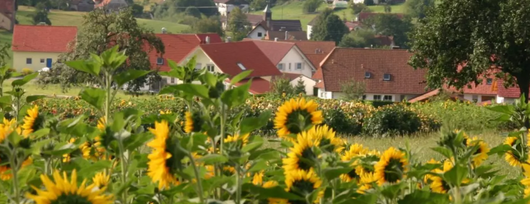 103165_bild2_badteinachzavelstein