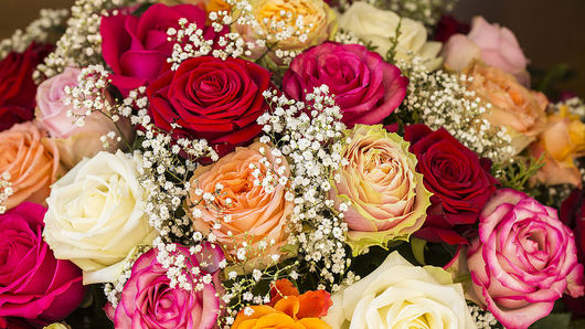 103980__innenaufnahmen_blumenbild