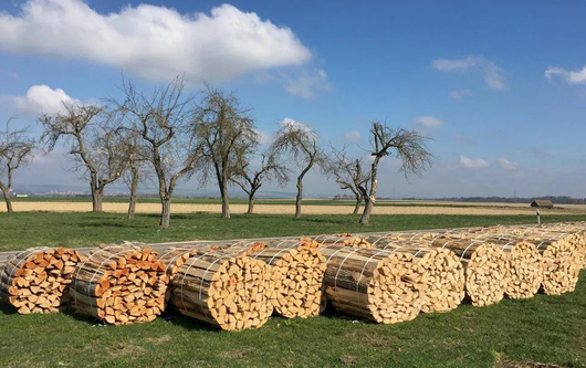 104699_sachs_brennholz