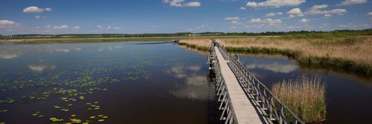 105039_ldr_naturschutz