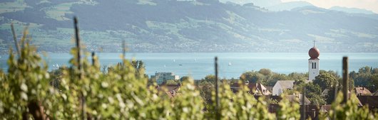 107504_bodensee