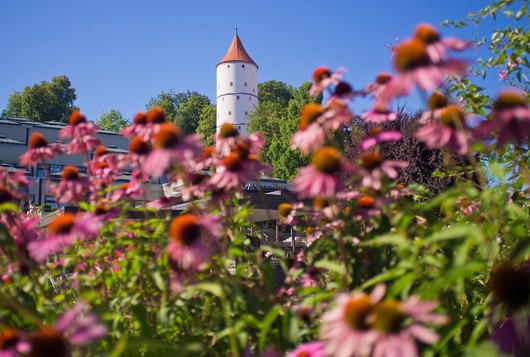 108399_biberach_riss_stadtansicht_6