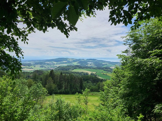 111550_rist-_06.06.2021-fuerstenplatz_oberhalb_vom_hohlenstein_in_lellwangem_vom_03.06.2021