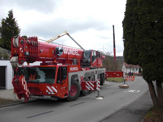 112232_bodensee-krane_1