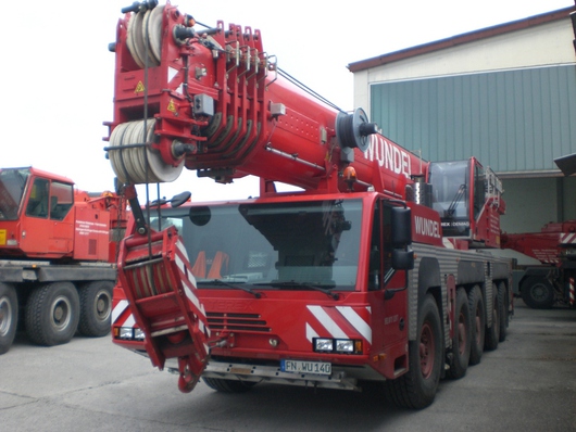 112232_bodensee-krane_2