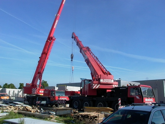 112232_bodensee-krane_7