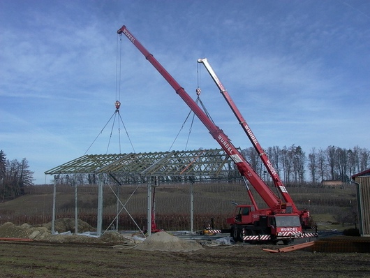 112232_bodensee-krane_9