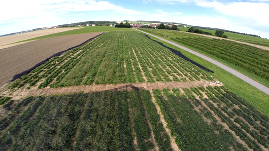 113158_schnappschuss