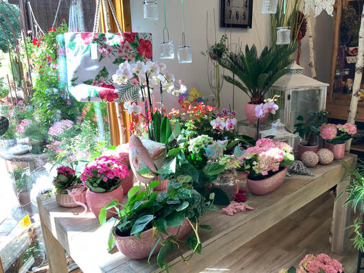 113324_sblumenlaedle_innen1