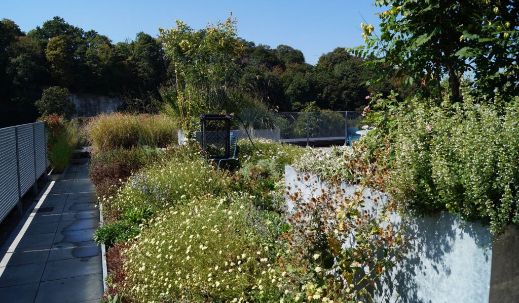 116982_hellgoth_flachdach