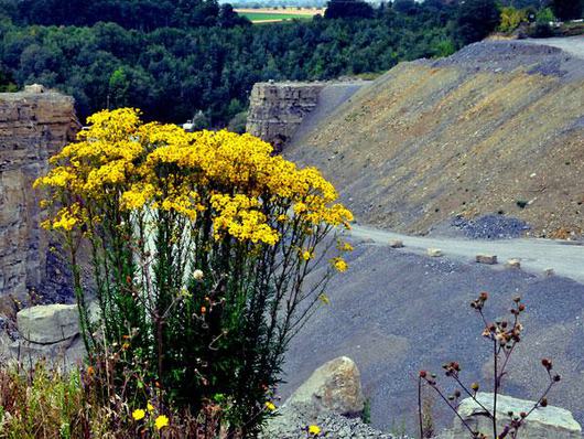 12303_12303steinbruch_pk6_lbb