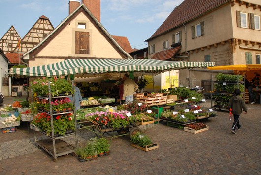 13487_11-05-28-marktbilder_001