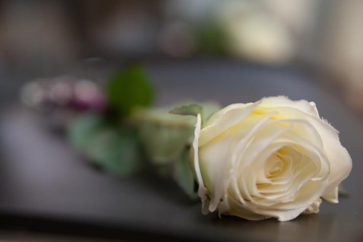 19731_bestattung_bauer_rose