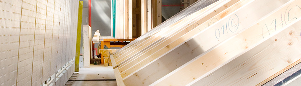 21221_aeckerle_header