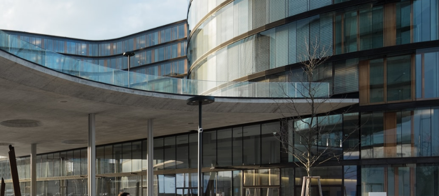 37812_37812_mauser_header