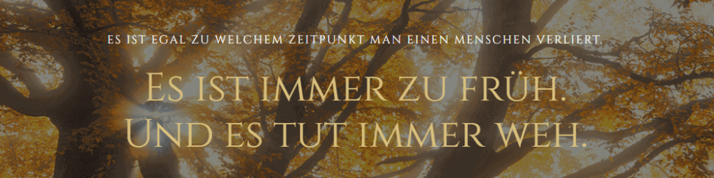 62600_vorschaubild_522066