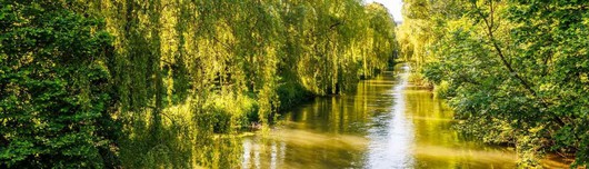 100884_bild_6_stadtverwaltung_singen