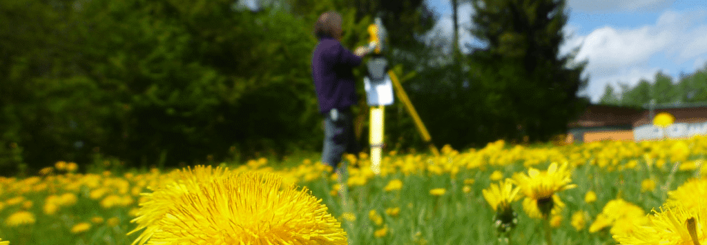 103514_vorschau_klein_und_leber