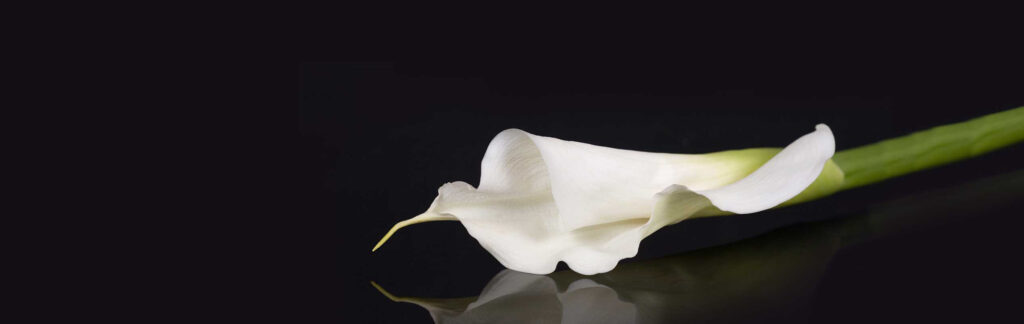 104525_hanssler_bestattungen_titel