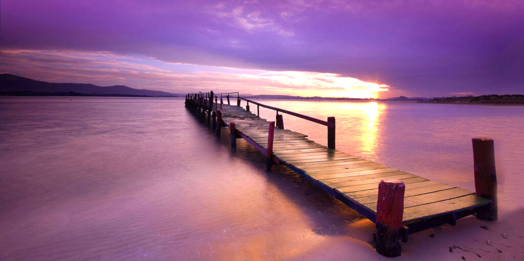 104730_kieferle_titel