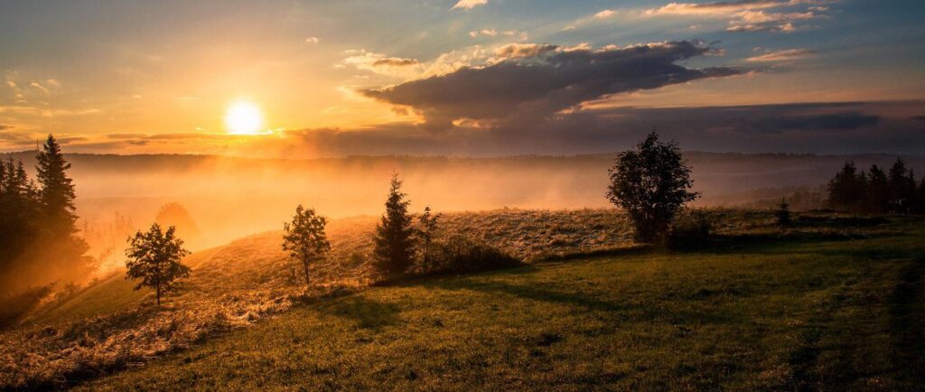 105688_vorschau_wirth