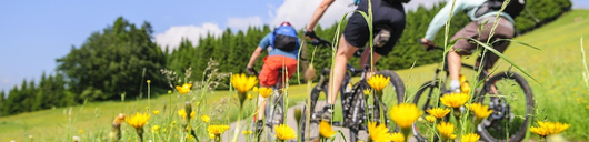 106529_wangen_radwege