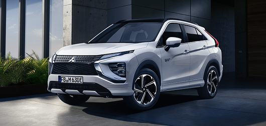 107124_meng_greenmobility