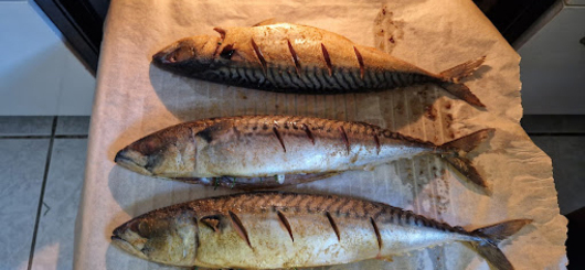 107367_dittmar_fisch