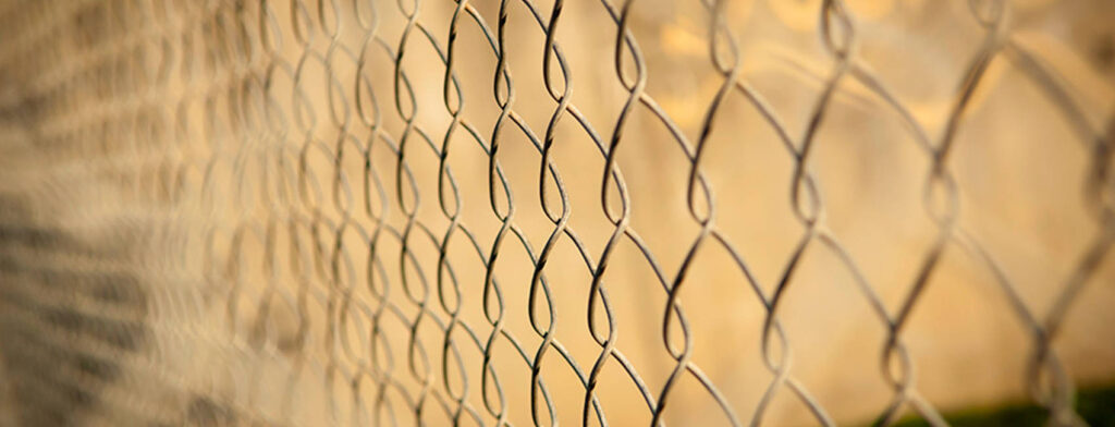 107613_zaunbelles_titel