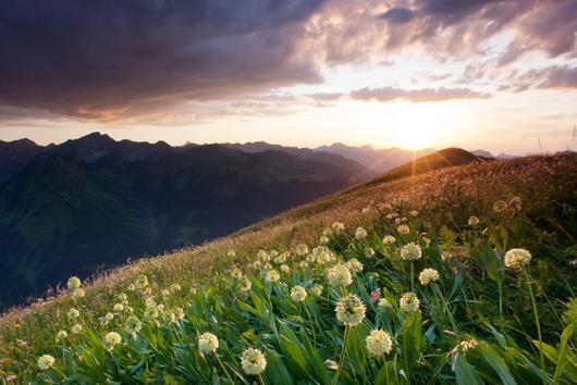 108568_almwiesenbestattung