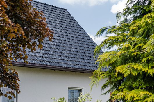 110595_wild_bedachung_1