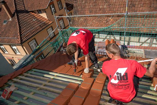 110595_wild_karriere