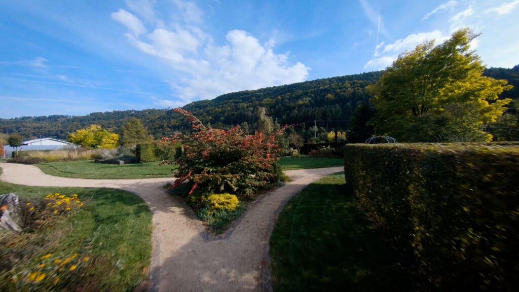 110757_vorschau_spaeth