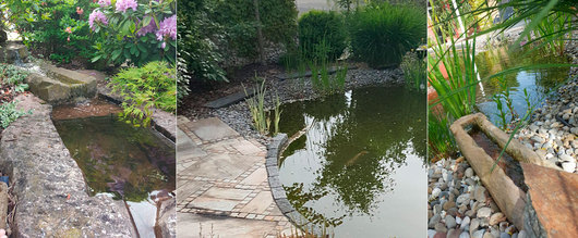 110780_wagner_natuipool