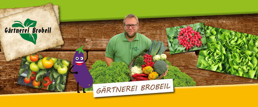 110813_brobeil_gemuese