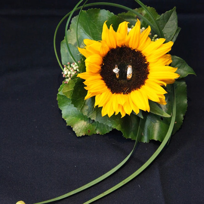 110911_ringe-hochzeit