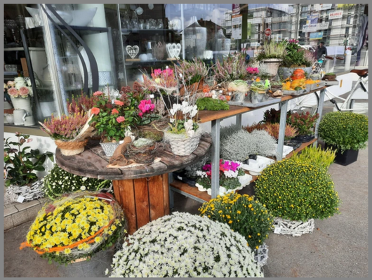 110911_ulisblumen_blumen