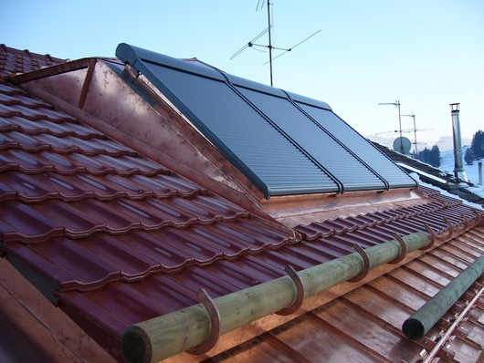 113539_33620_p1020616