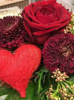 11431 Blumen Paule-Liebchen_