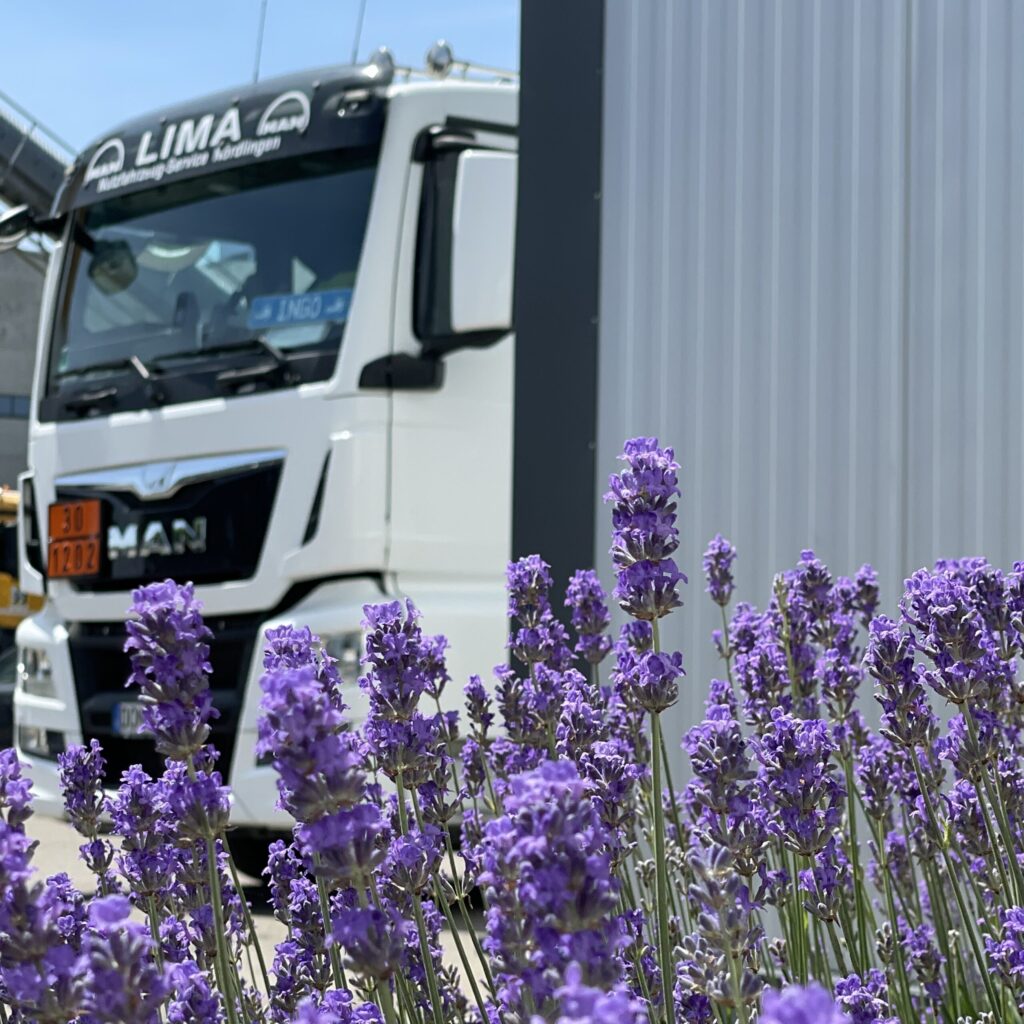 114675_irrgang_titel