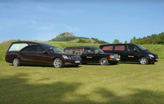 114791_2022-10-17_13_35_14-homburger_bestattungen_singen_-_google_suche